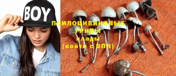 а пвп мука Вяземский