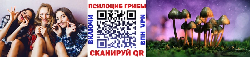 Псилоцибиновые грибы Psilocybe  Купить  Кашира 